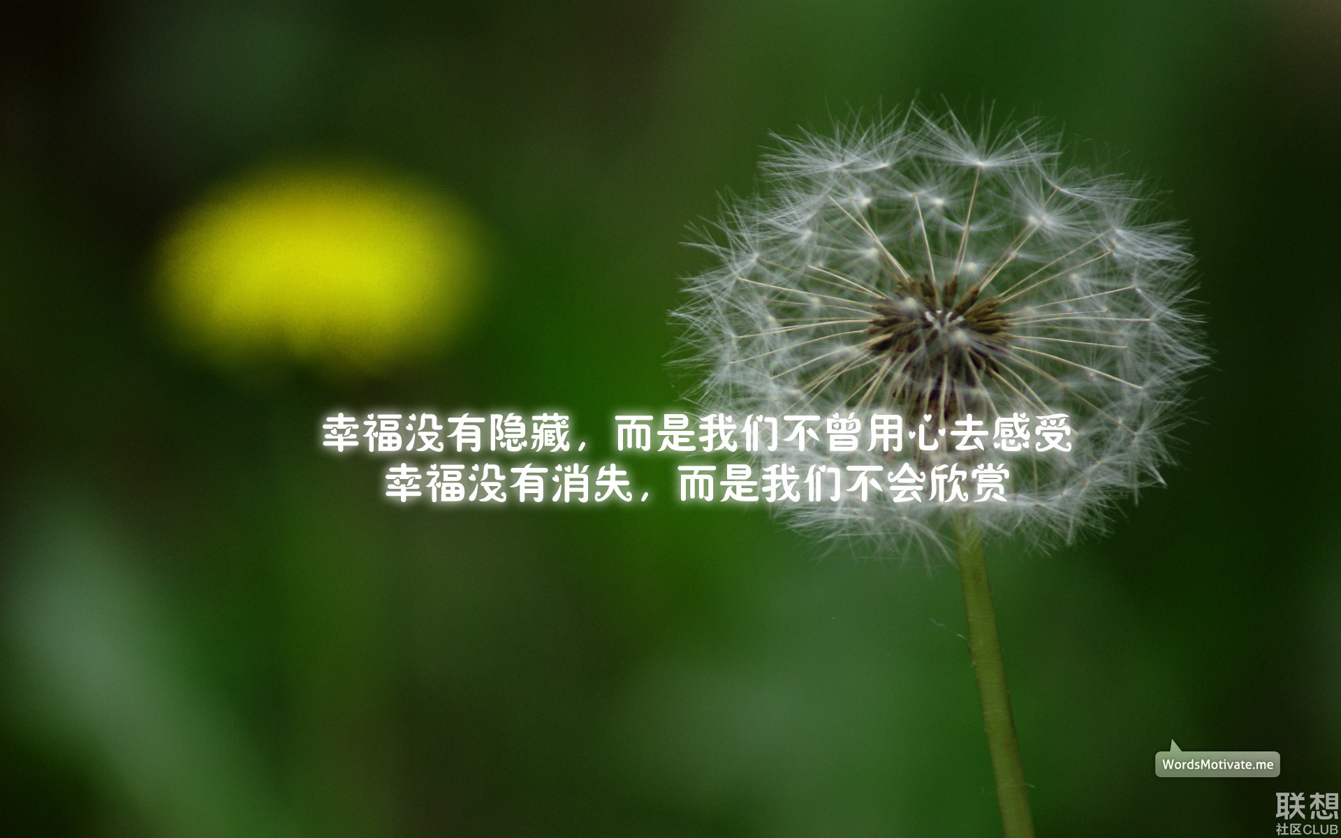 【【高清壁纸】1920x1200励志奋斗壁纸大合集】-【及