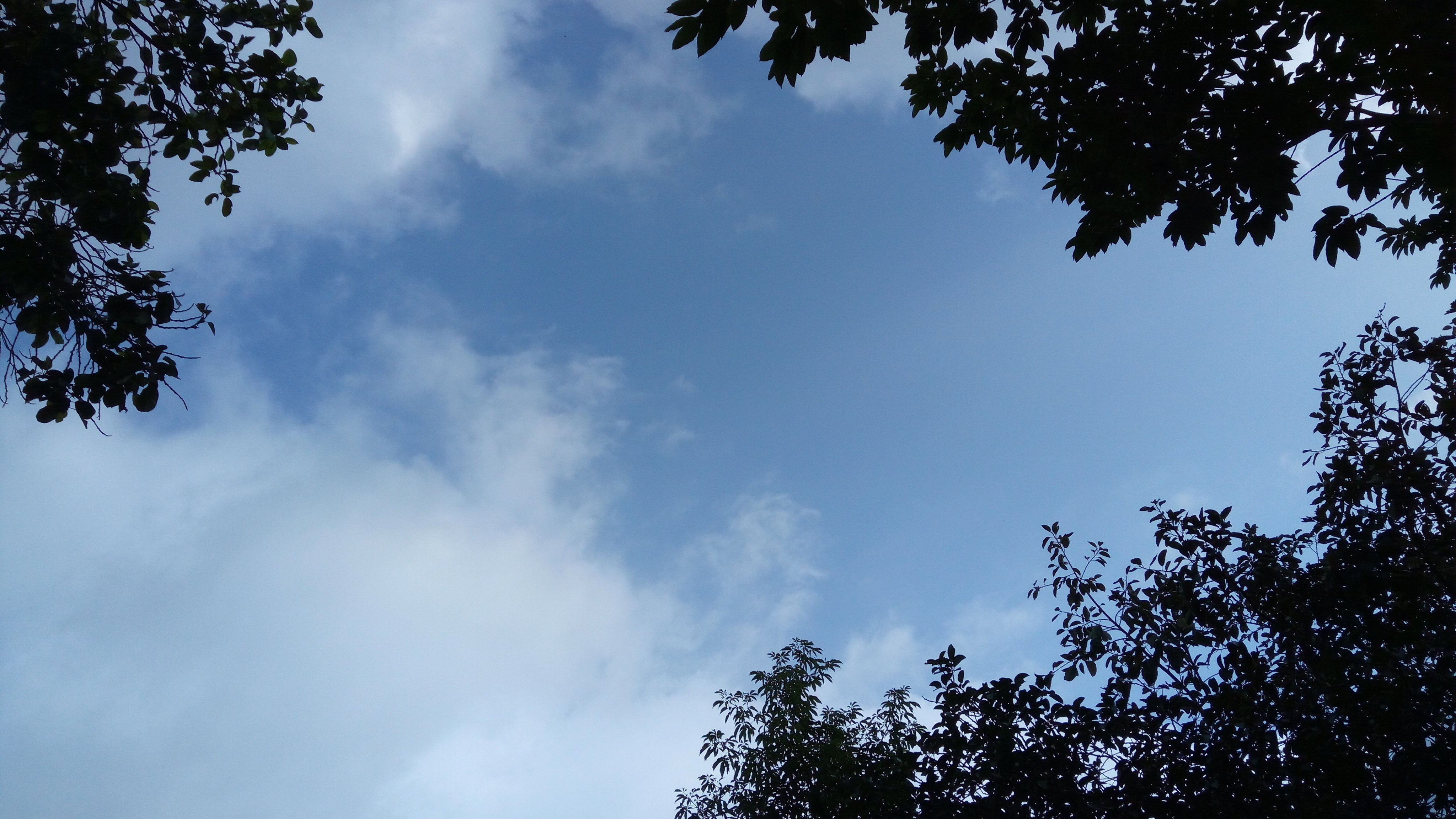 蓝蓝的天空,孩子般的笑脸