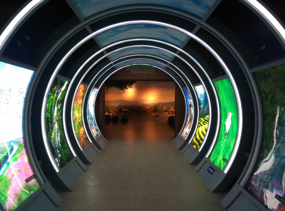 【江西省博物馆】-【随手拍】论坛-手机乐粉家-联想社区