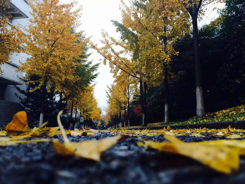 【【原创】精品手机图片后期软件小合集】-【