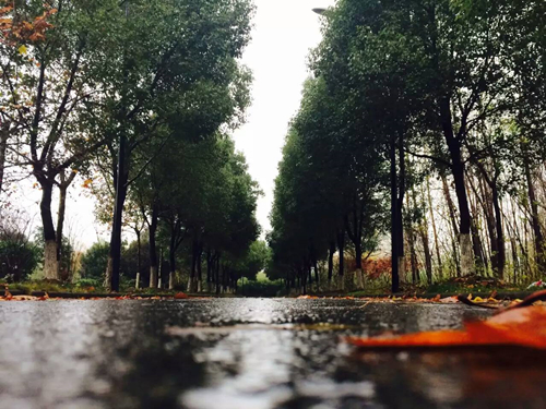 【【原创】精品手机图片后期软件小合集】-【