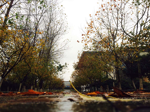 【【原创】精品手机图片后期软件小合集】-【