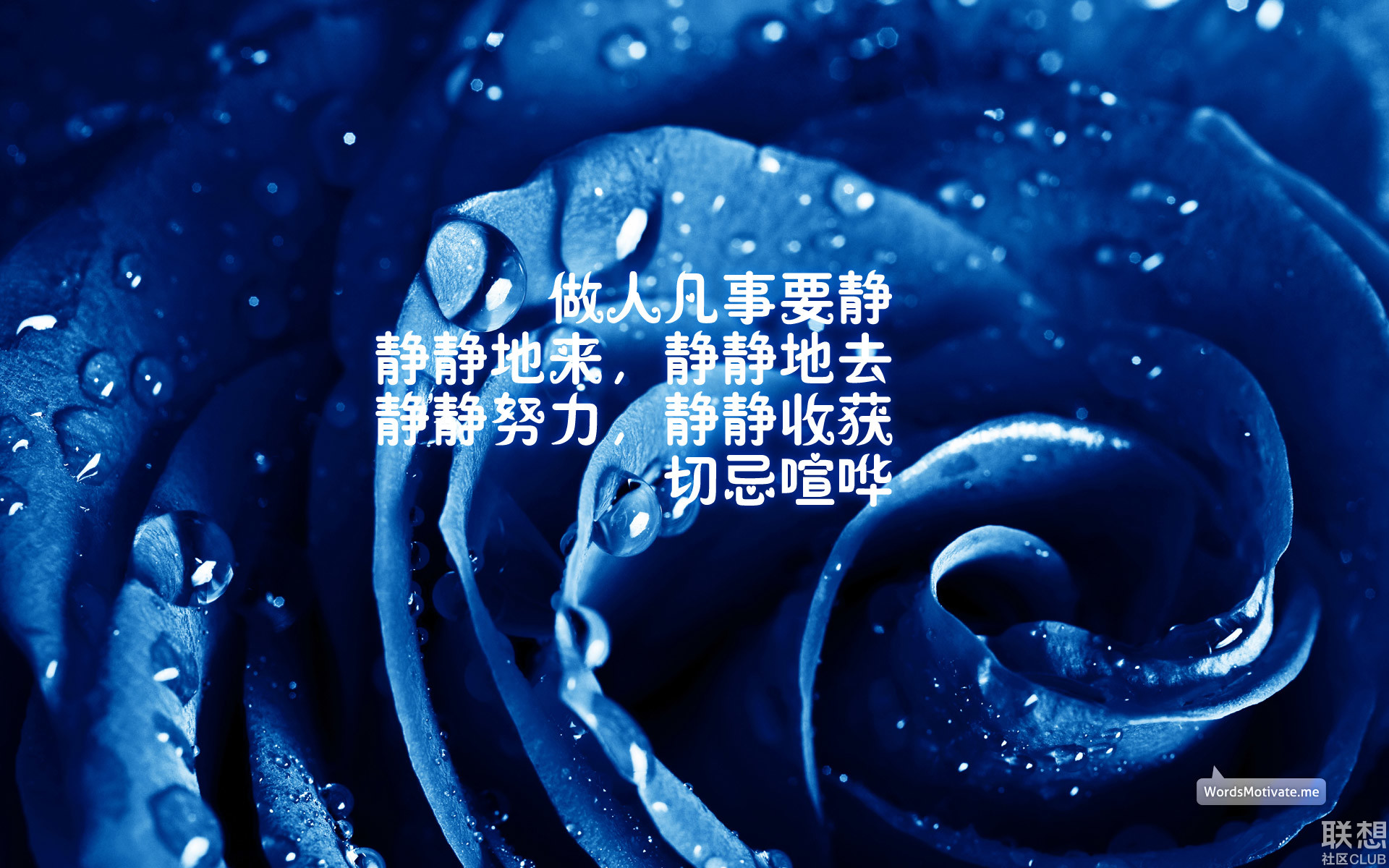 打手心视频