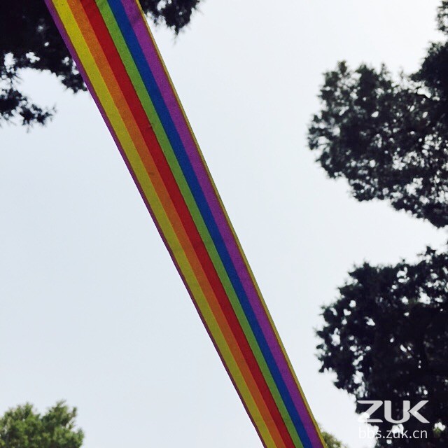 【zuk z1摄影小课堂 对角线构图】-【随手拍】论坛-手机乐粉家-联想