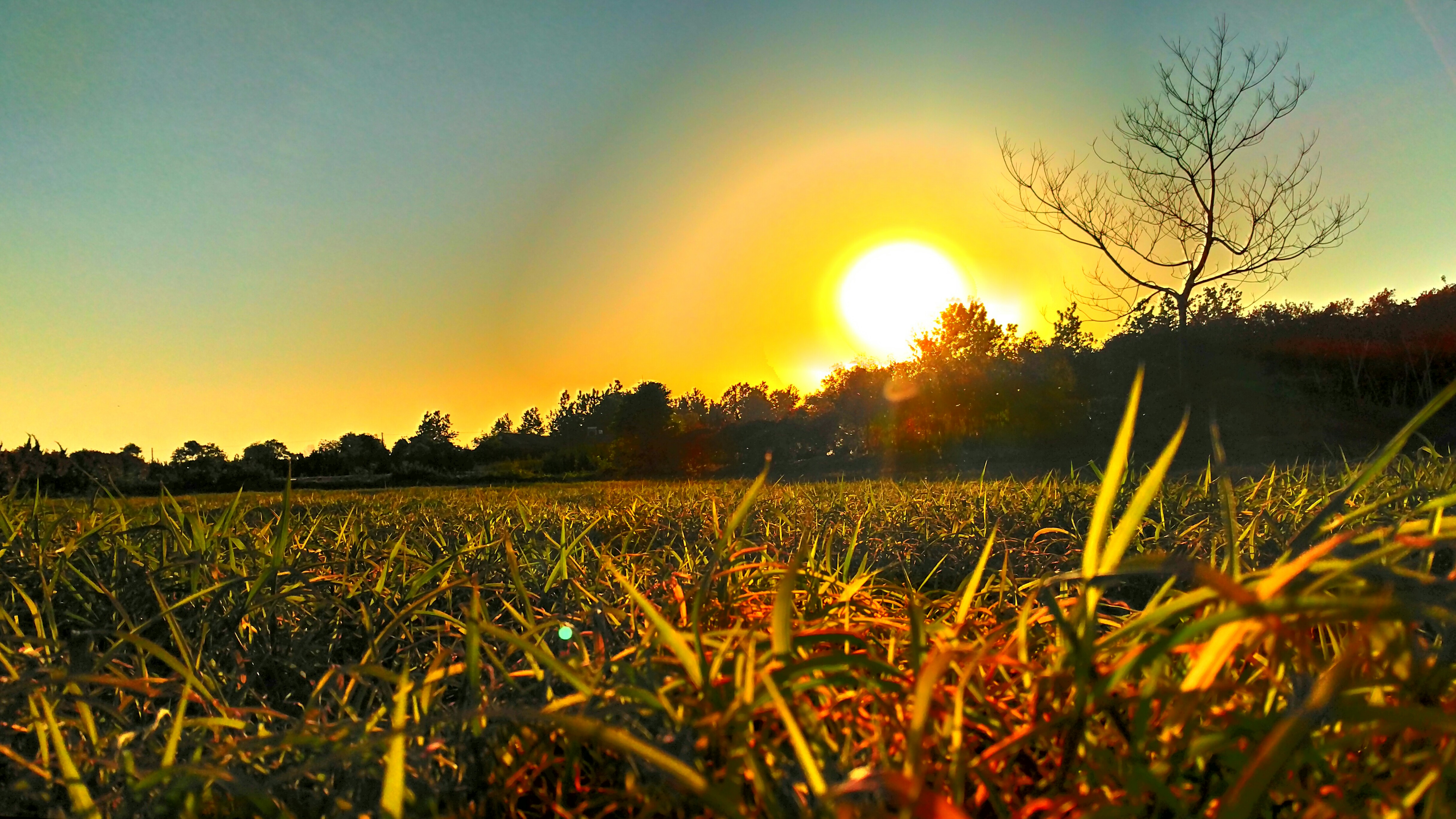 夕阳的照片,太阳并没有画面中那么大,应该是太阳的光晕经过颜色饱和度