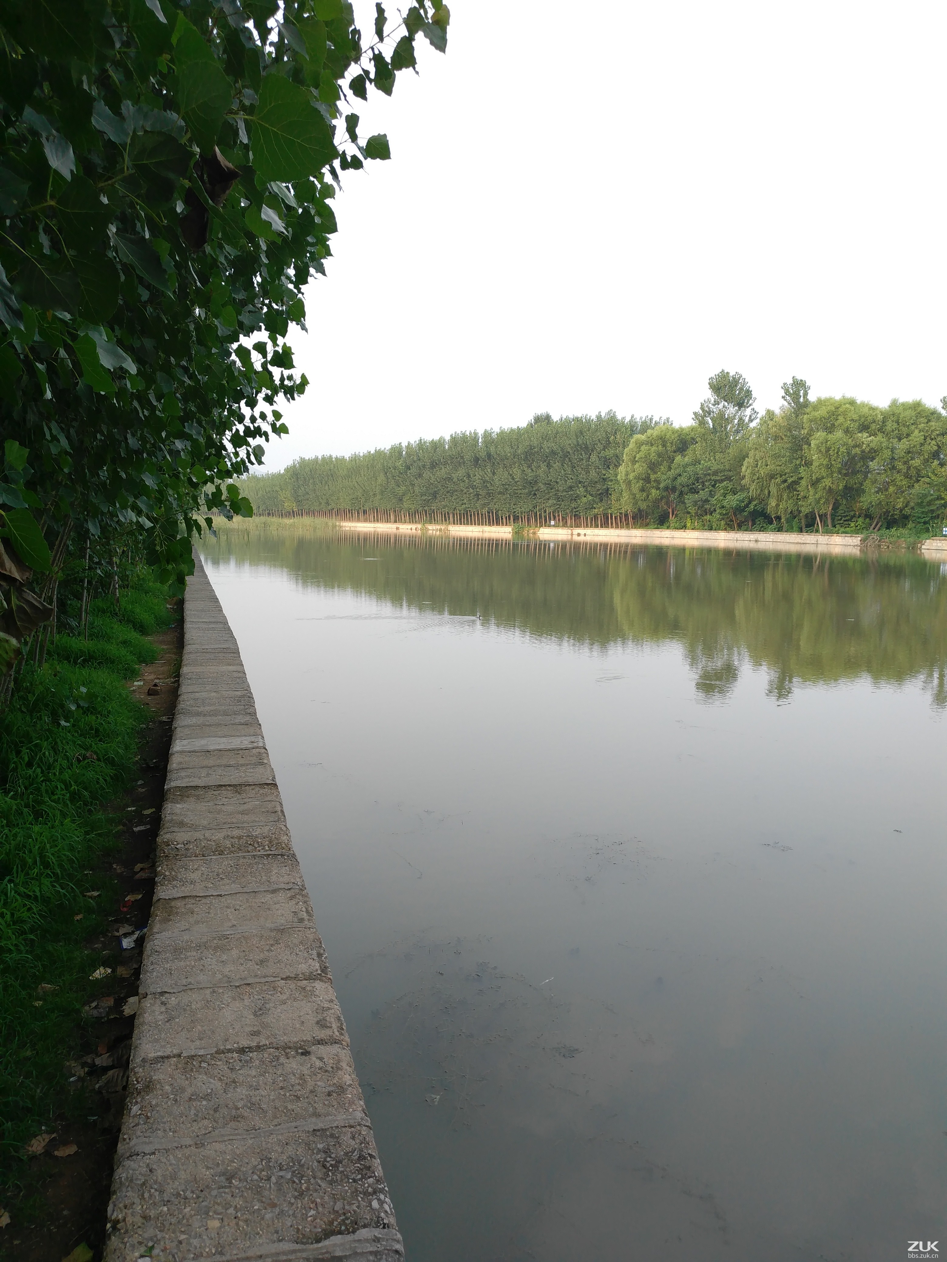                公园河边散步中