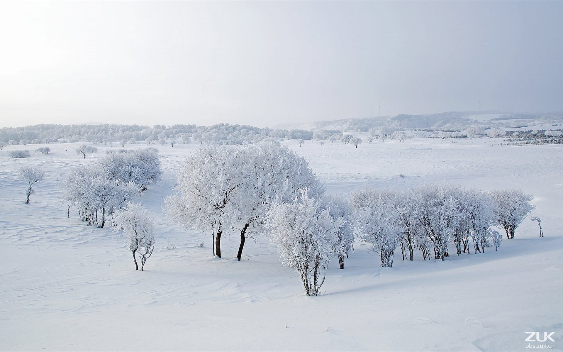 【坝上草原绝美雪景】-【联萌漫话】论坛-lenovopc社区-联想社区