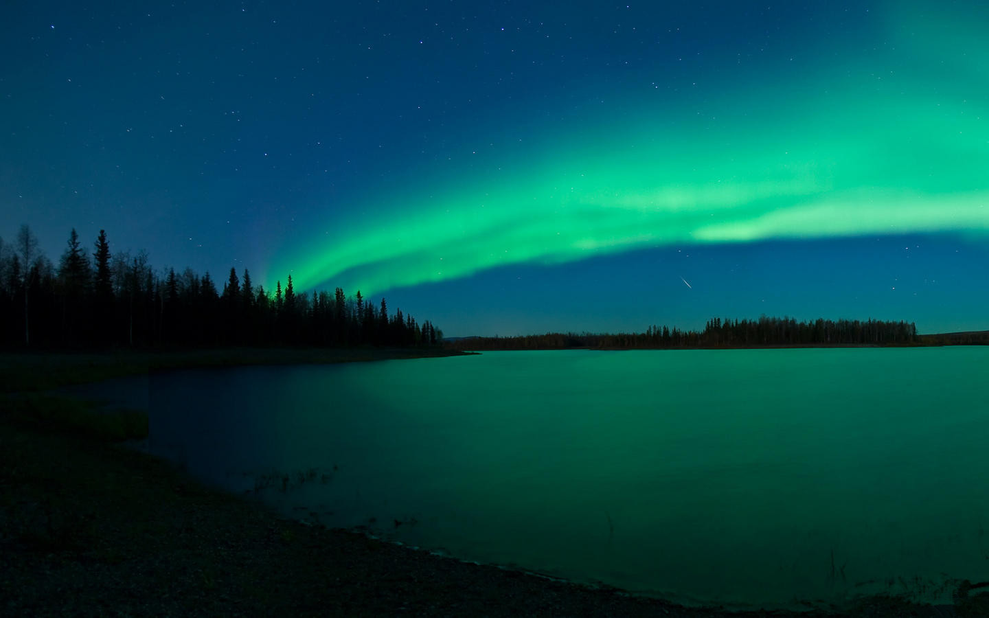 【冬日的树】-【联想杂谈】论坛-lenovopc社区-联想社区