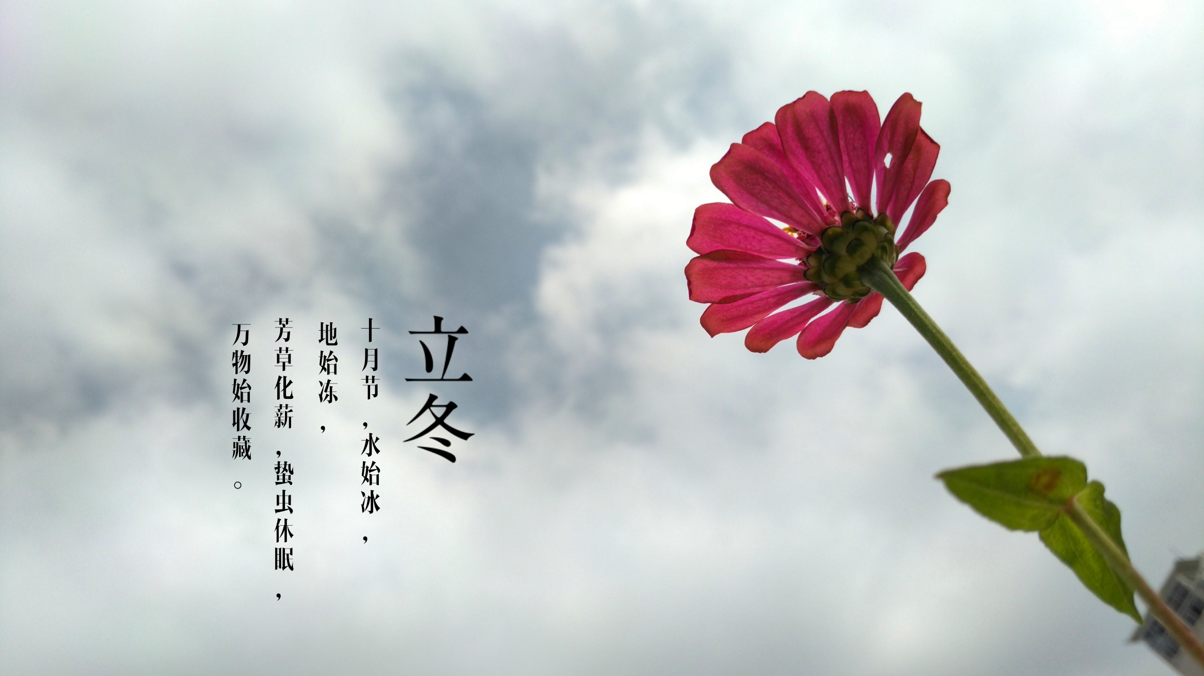 难为情!北方立冬吃什么"春潮夜夜深"-第2张图片-花纹博客