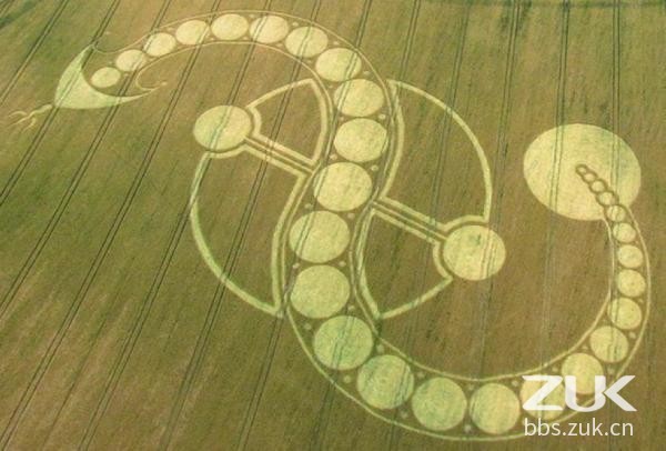 【无与伦比的麦田怪圈欣赏】-【联萌漫话】论坛-lenovopc社区-联想