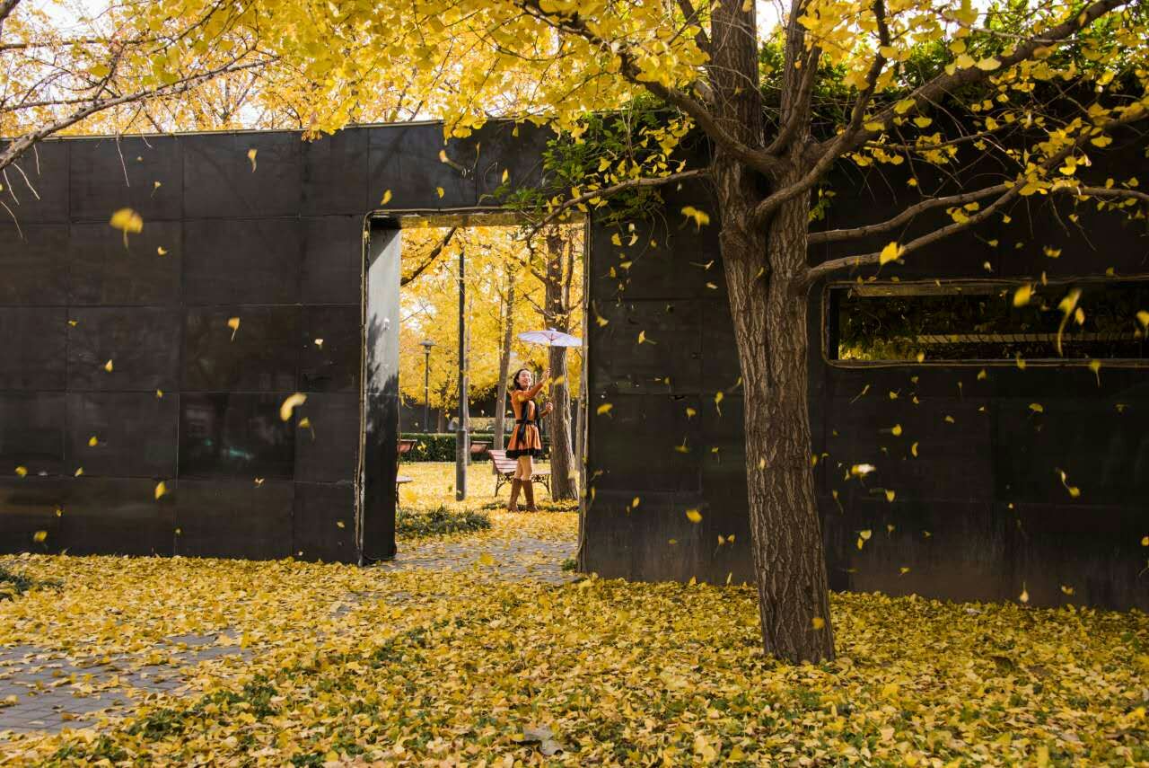 槲叶落山路,枳花明驿墙