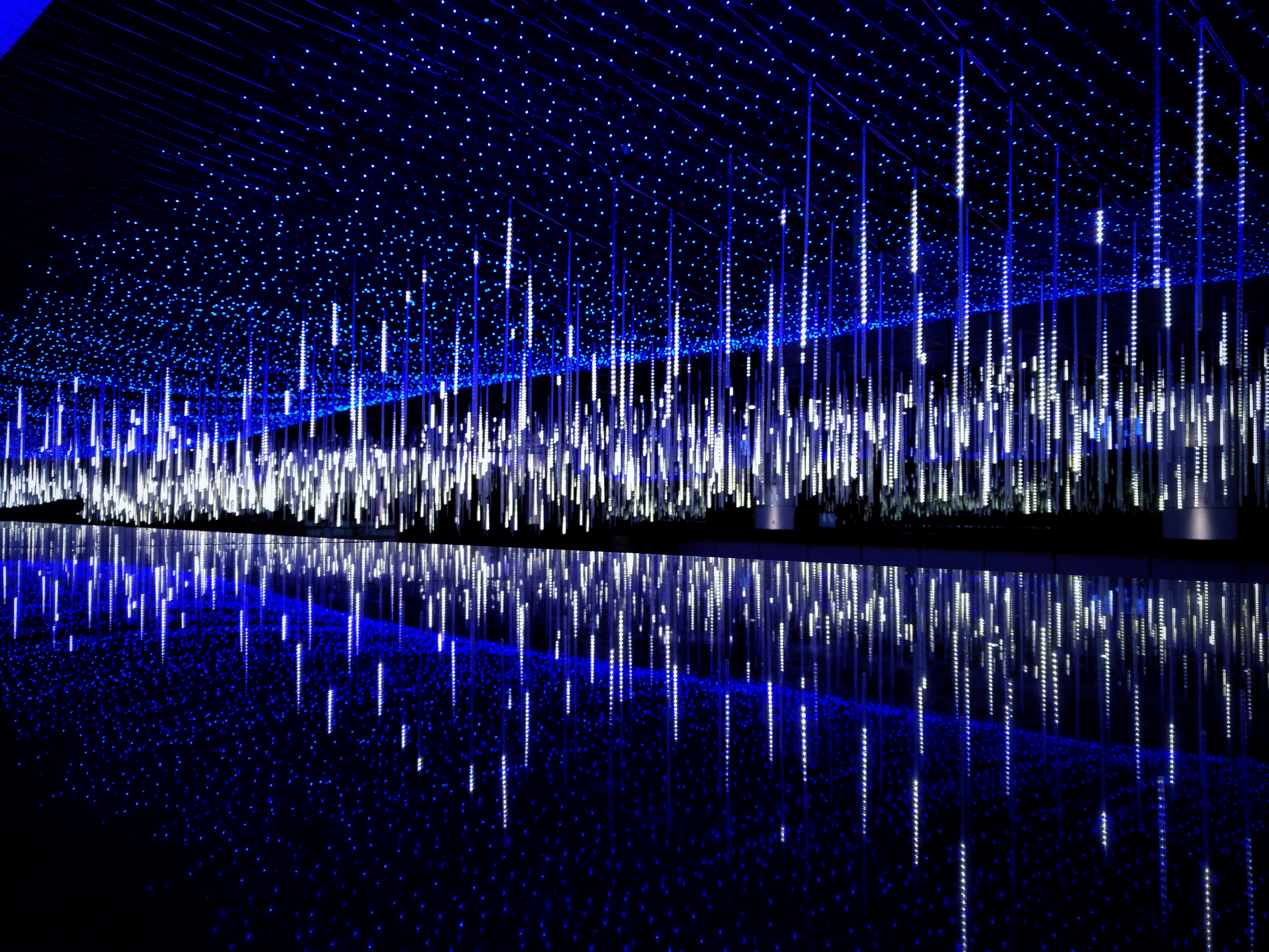 家附近的商城很是热闹,商城的周边布置着一些大的灯光造型,夜晚下