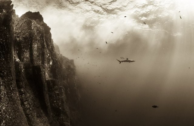 站在悬崖边,余晖从美国加州约塞米蒂公园的塔夫脱点投射下来的场景