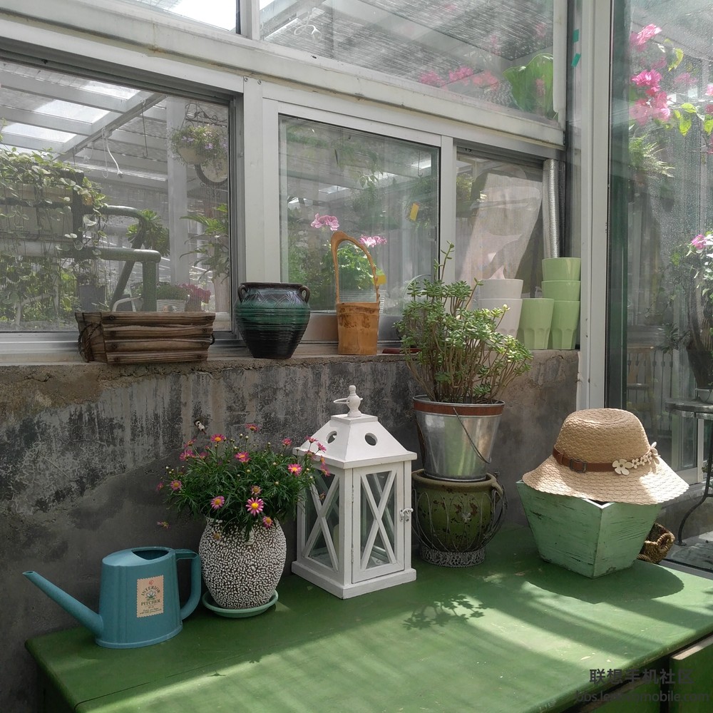 【爱莲居摆设】-【随手拍】论坛-手机乐粉家-联想社区