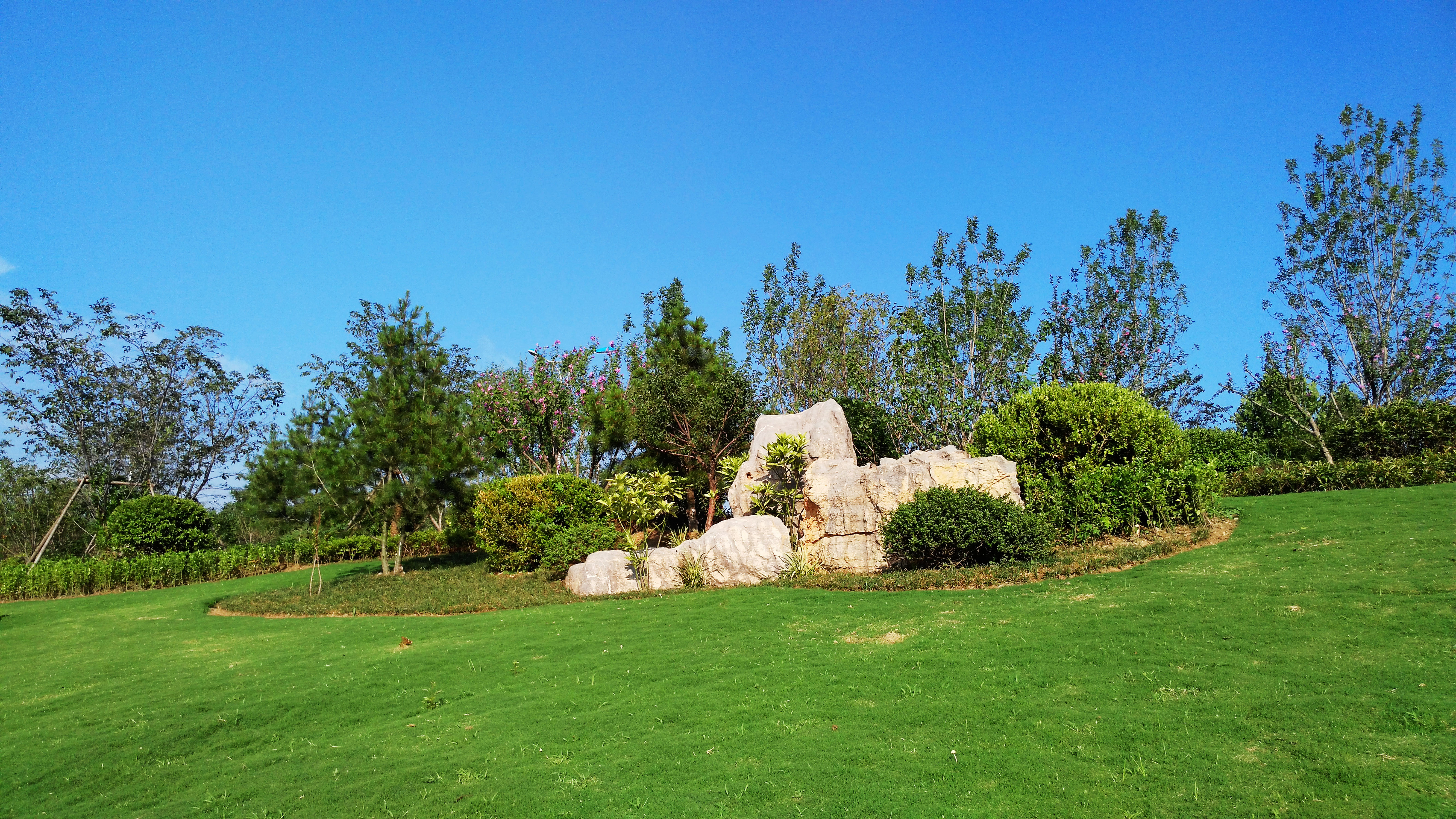 奥正热道专帖(一)景观石】-【随手拍】论坛-手机乐粉家-联想社区