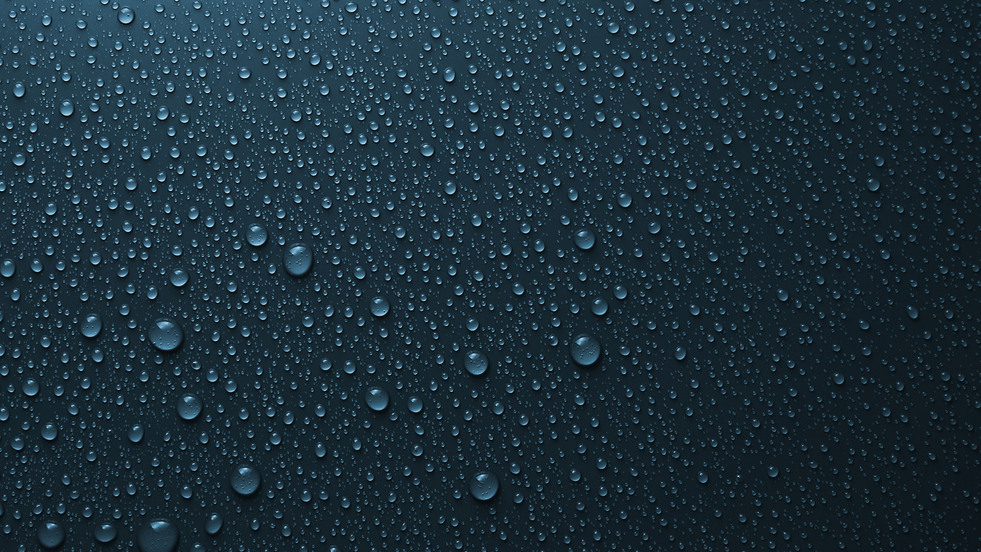 羽毛球666 562.jpg