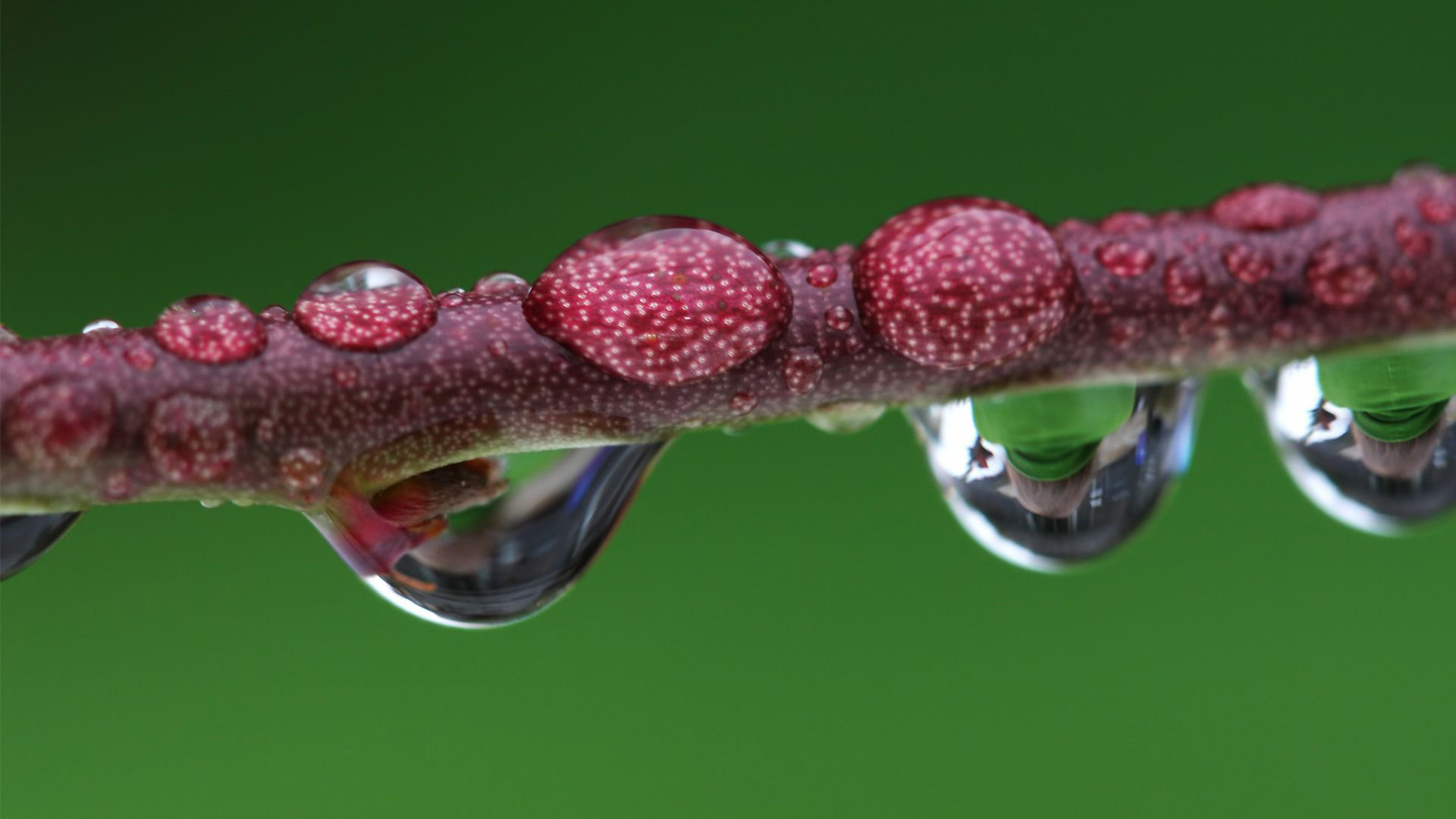 【【共享壁纸】 护眼系(y50-70适用)】-【小新笔记本】论坛-lenovopc