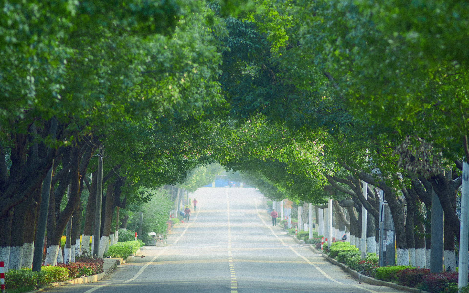 【【共享壁纸】高清壁纸合集(小新air12适用)】-【小新笔记本】论坛