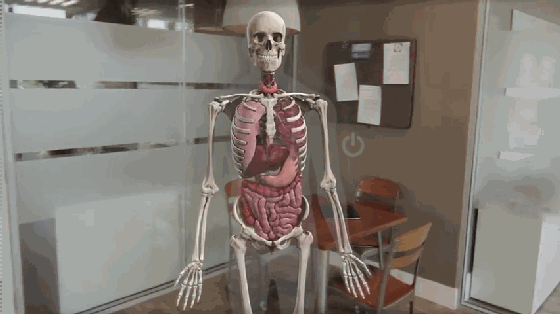 560_314gif 动态图 动图